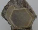 Périmorphose de calcite en quartz, Rio Grande do Sul, Brésil