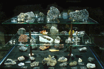 vitrine1a