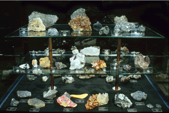 vitrine1b