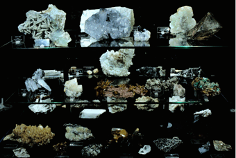 vitrine2b
